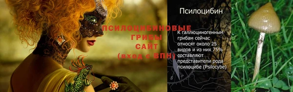 соль ск Ладушкин