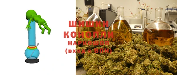 ПСИЛОЦИБИНОВЫЕ ГРИБЫ Лагань