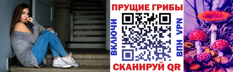 Псилоцибиновые грибы мицелий  как найти   дарк нет состав  Циолковский 
